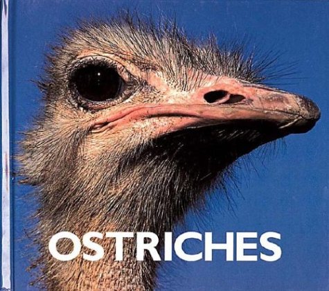 Beispielbild fr Ostriches (Naturebooks) zum Verkauf von BookResQ.