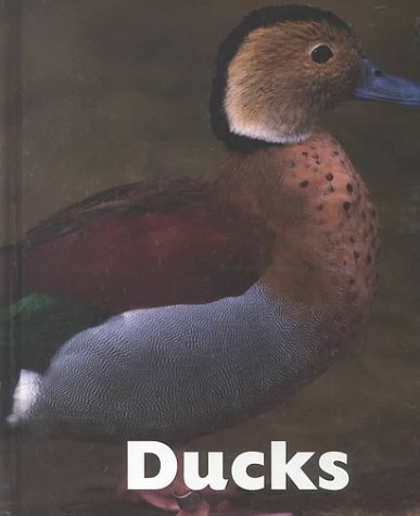 Beispielbild fr Ducks zum Verkauf von Better World Books