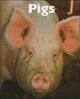 9781567663785: Pigs (Naturebooks)