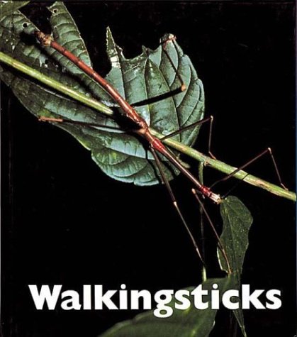 Imagen de archivo de Walkingsticks (Naturebooks) Merrick, Patrick a la venta por TheJunkStore