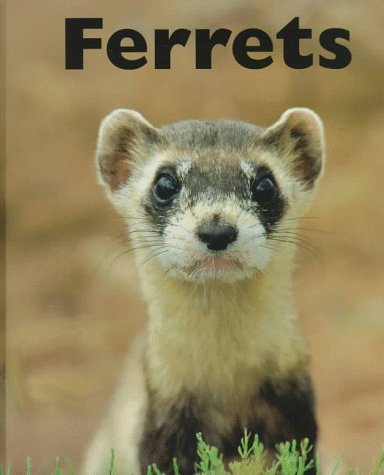 Stock image for Ferrets for sale by Better World Books