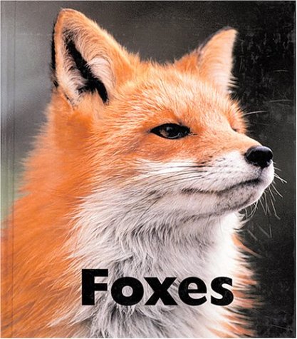 Beispielbild fr Foxes zum Verkauf von Better World Books
