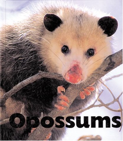 Opossums (Naturebooks) (9781567664805) by Lee, Sandra