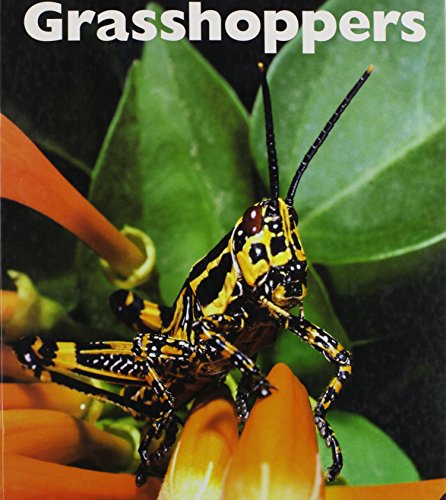 Imagen de archivo de Grasshoppers a la venta por Better World Books