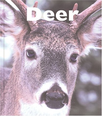 9781567665864: Deer (Naturebooks)