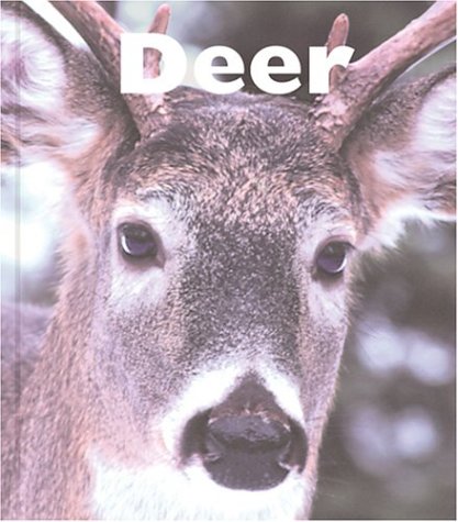 Stock image for Deer for sale by ThriftBooks-Dallas