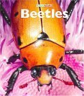 9781567669763: Beetles (Naturebooks)