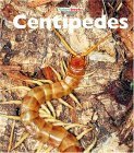 Beispielbild fr Centipedes zum Verkauf von Better World Books: West