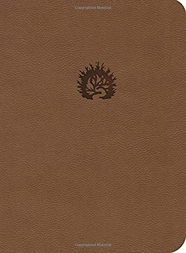 9781567695038: Reformation Study Bible (2016) NKJV, Leather-Like Light Brown