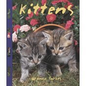 Stock image for Kittens for sale by Wonder Book