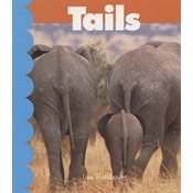 Stock image for Animal Tails for sale by Wonder Book