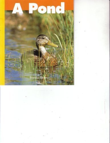 Stock image for A Pond for sale by Better World Books