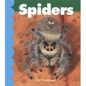 Beispielbild fr Spiders zum Verkauf von Wonder Book