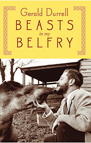 Beispielbild fr Beasts in My Belfry zum Verkauf von BooksRun