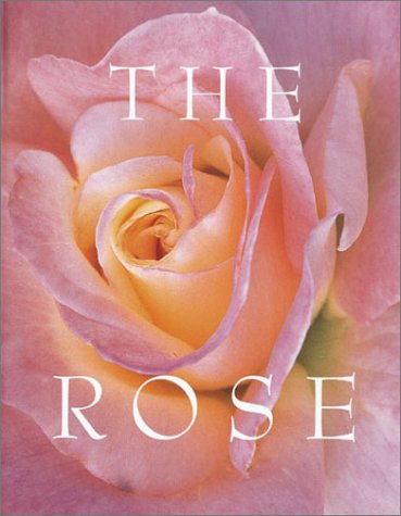 Stock image for The Rose for sale by Better World Books: West