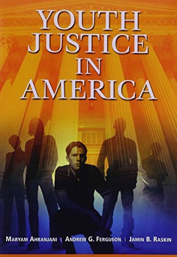 Beispielbild fr Youth Justice In America zum Verkauf von Wonder Book