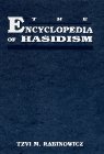 Stock image for The Encyclopedia of Hasidism for sale by KuleliBooks