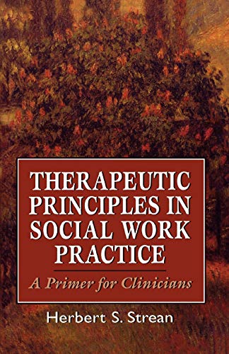 9781568211374: Therapeutic Principles in Social Work Practice: A Primer for Clinicians (Master Work) (The Master Work)