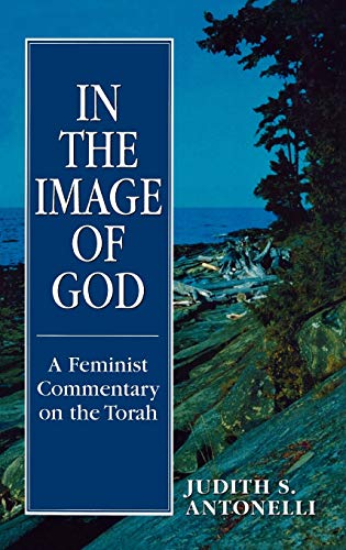 9781568214382: In the Image of God: A Feminist Commentary on the Torah