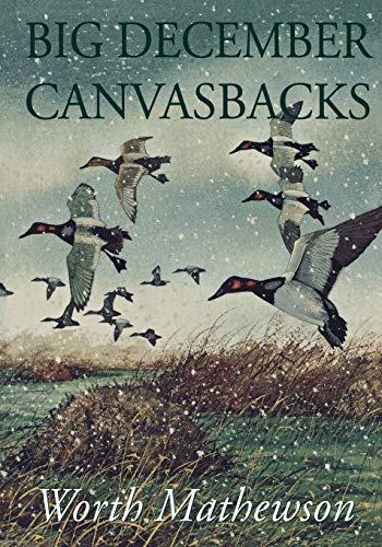 Imagen de archivo de Big December Canvasbacks, Revised a la venta por GF Books, Inc.