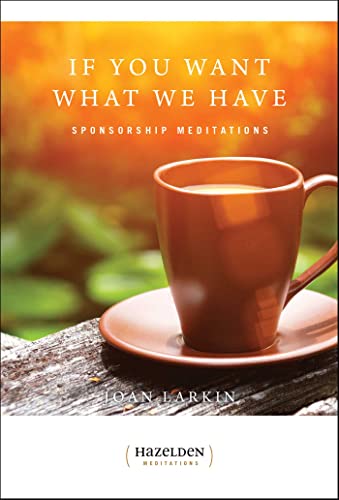 Stock image for If You Want What We Have: Sponsorship Meditations (Paperback) for sale by CitiRetail