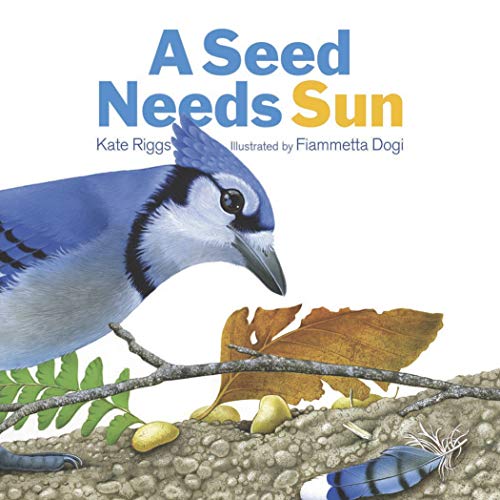 Beispielbild fr A Seed Needs Sun zum Verkauf von SecondSale