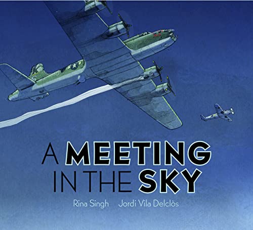 Beispielbild fr A Meeting in the Sky zum Verkauf von WorldofBooks