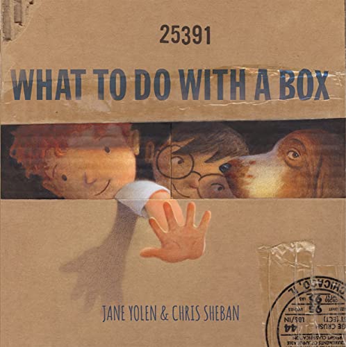 Stock image for What to Do with a Box for sale by Jenson Books Inc