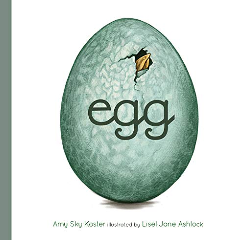 Imagen de archivo de Egg a la venta por Dream Books Co.