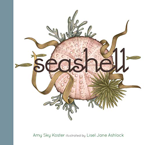 Beispielbild fr Seashell zum Verkauf von ZBK Books