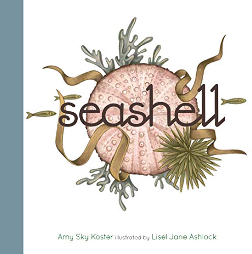 Stock image for Seashell for sale by ZBK Books