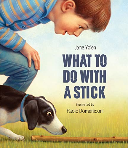 Stock image for What to Do with a Stick for sale by Better World Books