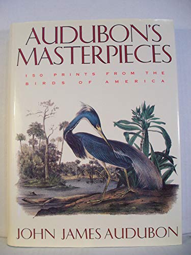 Imagen de archivo de Audubon's masterpieces: 150 prints from the Birds of America a la venta por Wonder Book