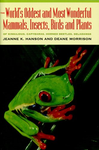 Stock image for Of Kinkajous, Capybaras, Horned Beetles, Seladangs: The World's Oddest and Most Wonderful Mammals, Insects, Birds and Plants for sale by Wonder Book