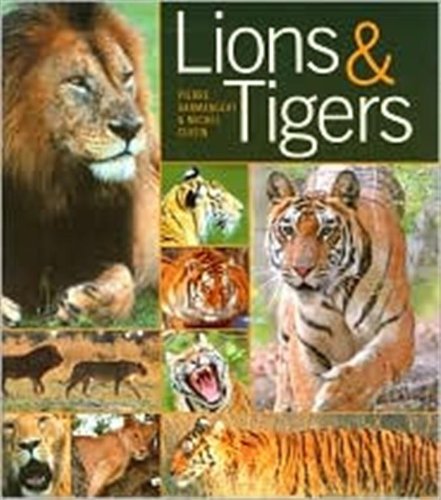 Imagen de archivo de Lions and Tigers a la venta por Half Price Books Inc.