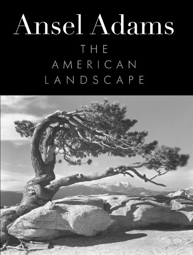 Stock image for Ansel Adams: The American Landscapes for sale by The Maryland Book Bank