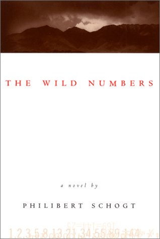 Beispielbild fr The Wild Numbers: A Novel zum Verkauf von Wonder Book