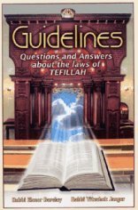 Imagen de archivo de Guidelines: Questions & Answers about the Laws of Tefillah a la venta por SecondSale