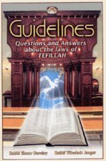 Stock image for Guidelines: Questions & Answers about the Laws of Tefillah for sale by SecondSale