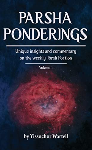 Beispielbild fr Parsha Ponderings: Unique Insights and Commentary on the Weekly Torah Portion zum Verkauf von Red's Corner LLC