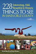 Beispielbild fr 228 Interesting, Odd, Beautiful and Historic Things to See in Santa Cruz County zum Verkauf von Better World Books