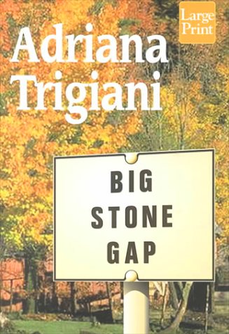 9781568959191: Big Stone Gap (Wheeler Large Print Book Series)