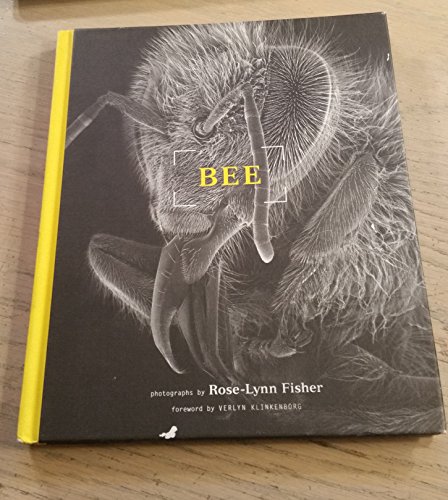 9781568989440: Bee