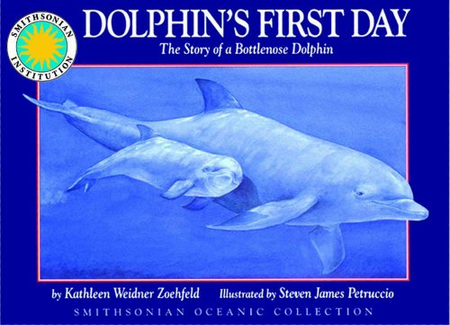 Stock image for Dolphin's First Day: The Story of a Bottlenose Dolphin - a Smithsonian Oceanic Collection Book for sale by SecondSale