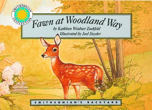 Stock image for Fawn at Woodland Way for sale by ThriftBooks-Atlanta