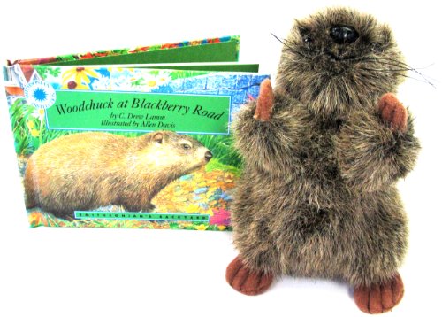 9781568990903: Woodchuck at Blackberry Road