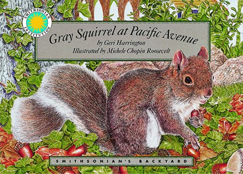 9781568991160: Gray Squirrel at Pacific Avenue/Mini Book