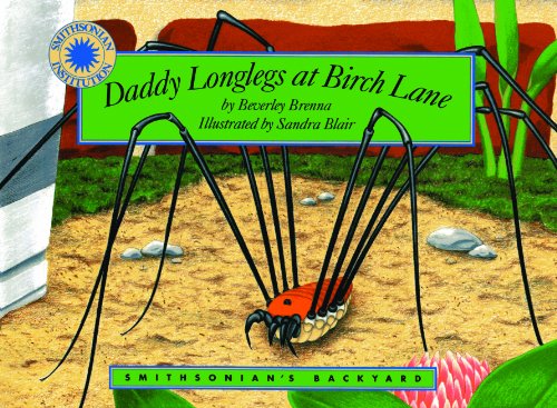 Stock image for Daddy Longlegs at Birch Lane for sale by Book Express (NZ)