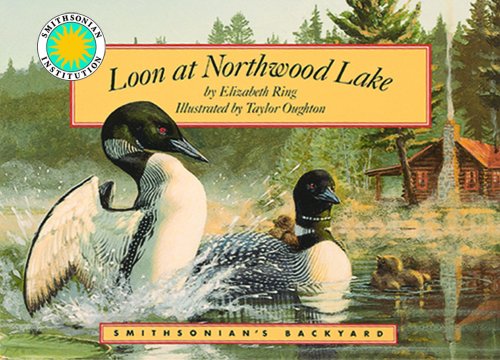 Beispielbild fr Loon at Northwood Lake (Smithsonian's Backyard) zum Verkauf von SecondSale