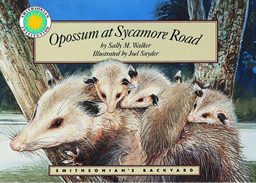 Beispielbild fr Opossum at Sycamore Road zum Verkauf von ThriftBooks-Dallas